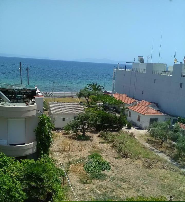 To Giouli 호텔 볼로스 외부 사진